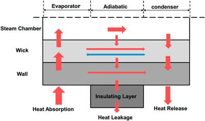 An Improved Model of the Heat Pipe Based on the Network Method Applied on a Heat Pipe Cooled Reactor